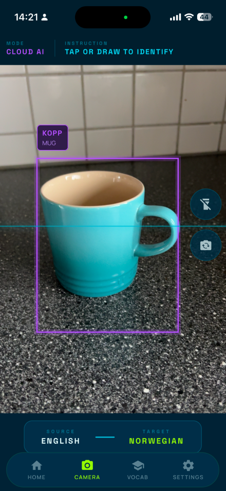 VisualVocab camera detection